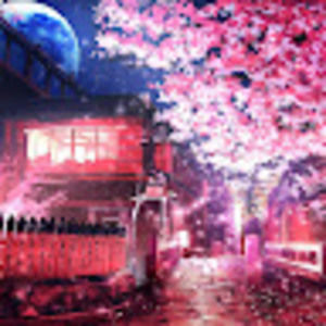 Meet your Posher, Emmi